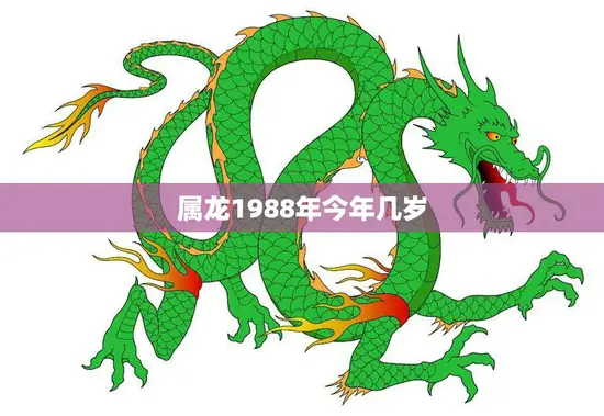 属龙1988年今年几岁(如何算出你的年龄)