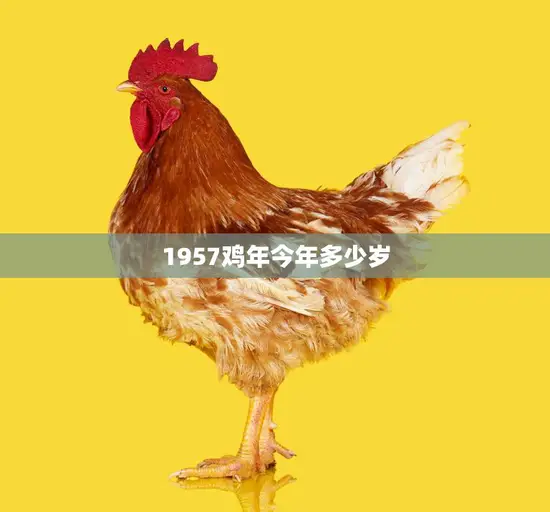 1957鸡年今年多少岁(回顾历史迎接新春)