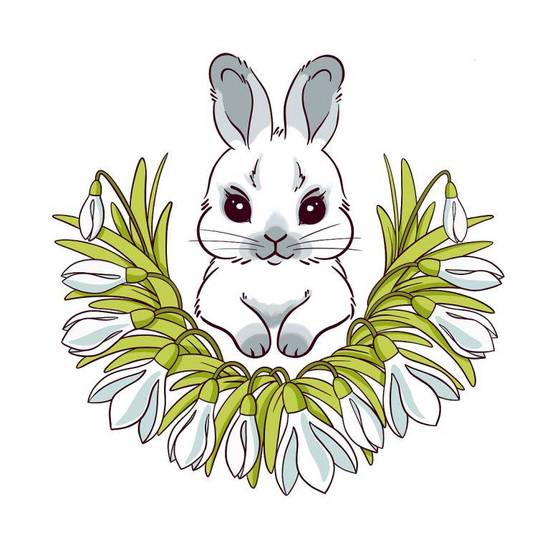 属兔和属羊的婚姻好不好(如何避免性格冲突)