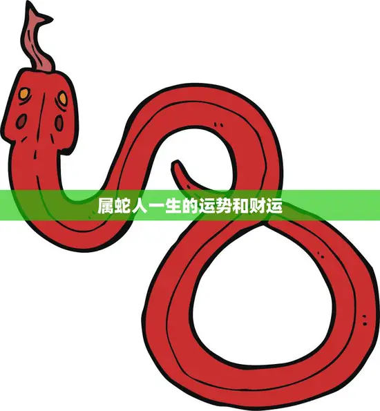 属蛇人一生的运势和财运(如何预测)