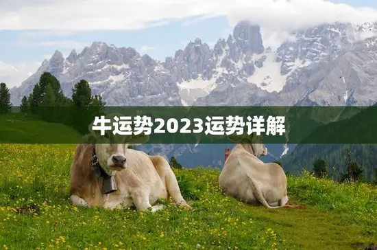 牛运势2023运势详解(2023年牛座运势大揭秘)