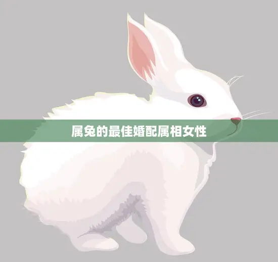 属兔的最佳婚配属相女性(如何选择最合适的伴侣)