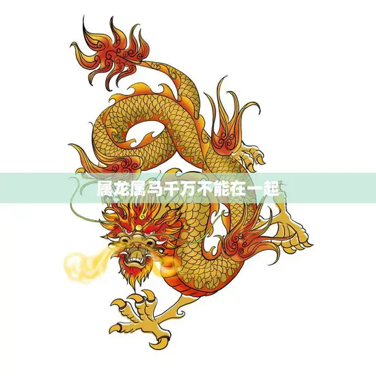 属龙属马千万不能在一起(为什么这两个属相不合适)