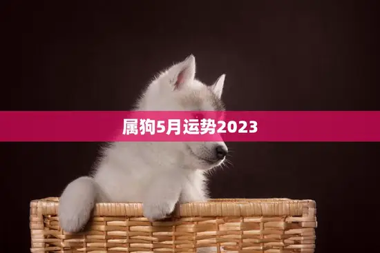 属狗5月运势2023(财运亨通事业顺利感情甜蜜)