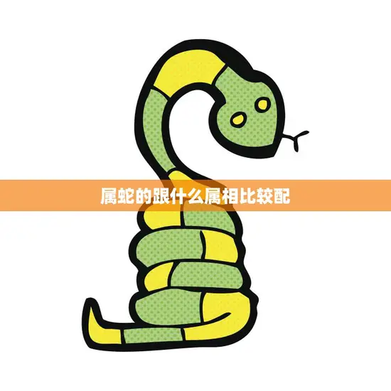 属蛇的跟什么属相比较配(如何选择最佳配偶)