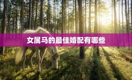 女属马的最佳婚配有哪些(寻找马年女性的完美伴侣)