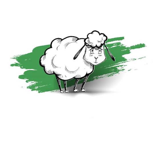 1991年的属羊女的命运(前途光明还是坎坷不平)