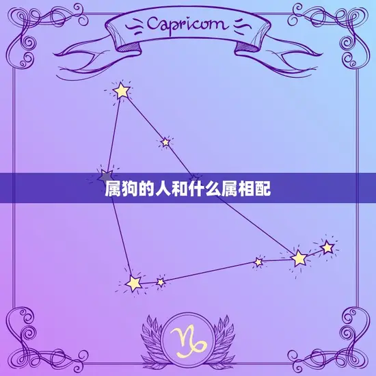 属狗的人和什么属相配(配对指南)