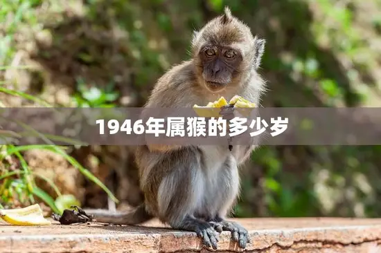 1946年属猴的多少岁(猴年老人的年龄之谜)