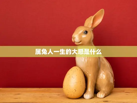 属兔人一生的大忌是什么(如何避免)