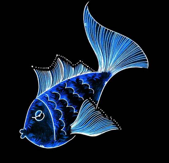 双鱼女会随便跟人睡觉吗(真相揭秘星座并不能决定一切)