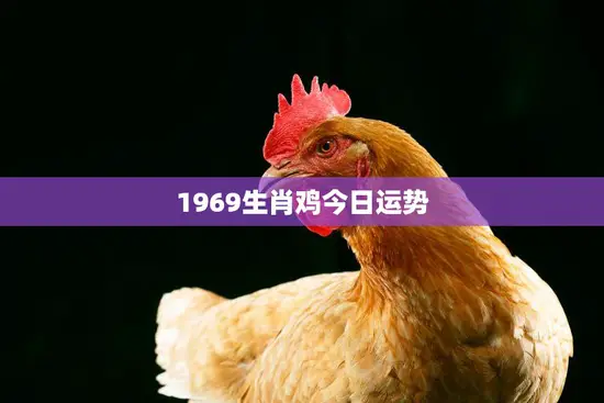 1969生肖鸡今日运势(好运连连财源滚滚)
