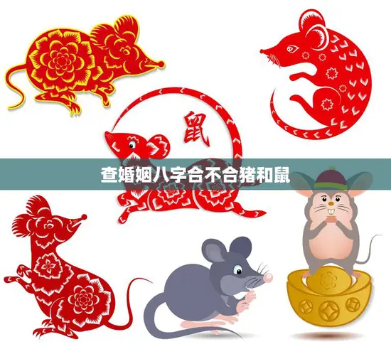查婚姻八字合不合猪和鼠(如何判断两人命理是否相合)