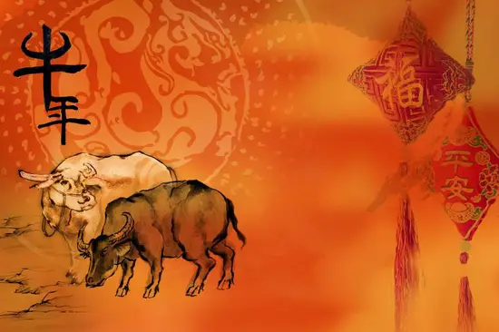 属牛人2023年多少岁(探究牛年出生的你2023年会迎来几岁生日)