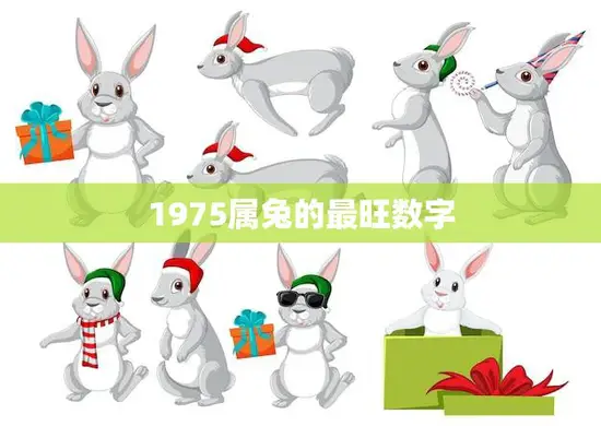 1975属兔的最旺数字(解析幸运数字、吉祥数字、命运数字)