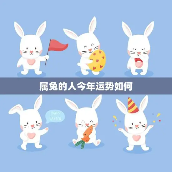 属兔的人今年运势如何(2023年属兔人的运势解析)
