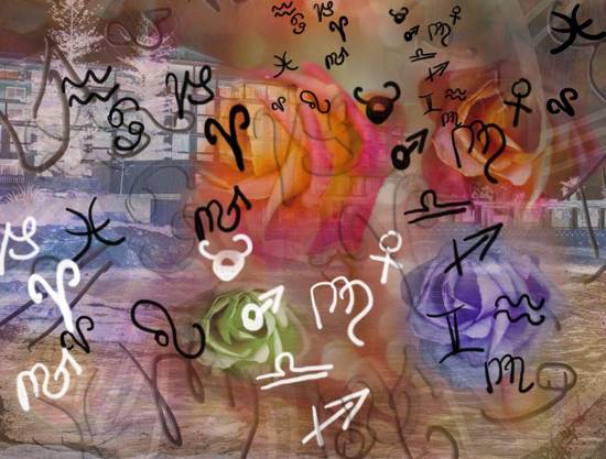 中国最老的十大名酒 中国的四大名酒和十大名酒