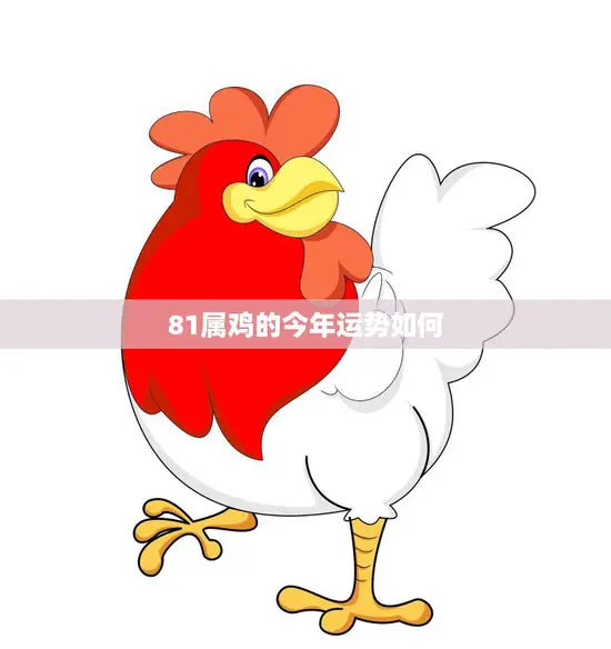 81属鸡的今年运势如何(吉星高照财运亨通)