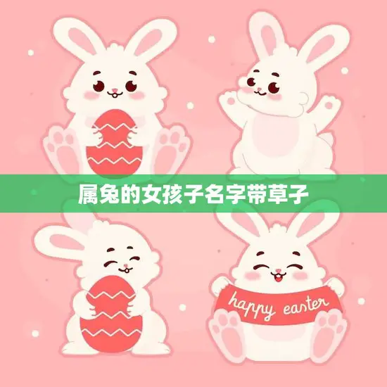 属兔的女孩子名字带草孑(如何选择最佳的名字)