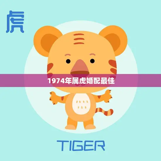 1974年属虎婚配最佳(如何选择最适合的伴侣)
