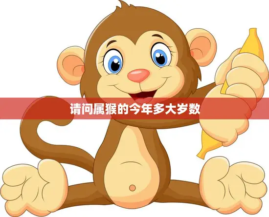 请问属猴的今年多大岁数(如何计算)