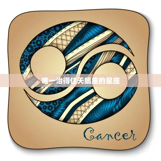 唯一治得住天蝎座的星座(揭秘如何与天蝎座和平共处)