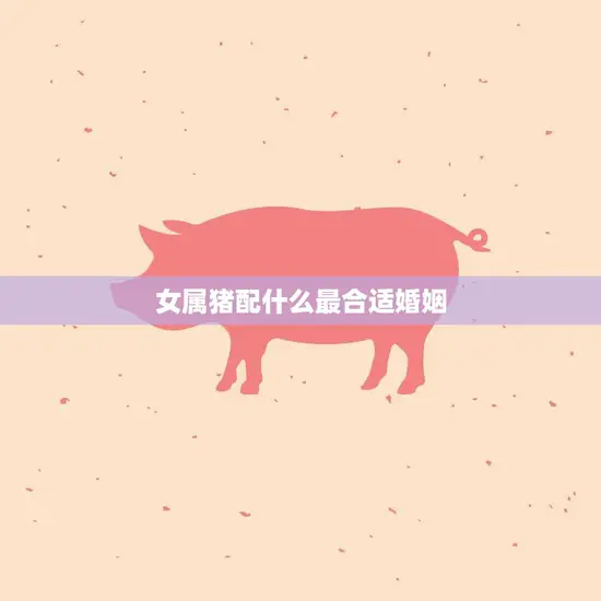 女属猪配什么最合适婚姻(如何选择最佳伴侣)