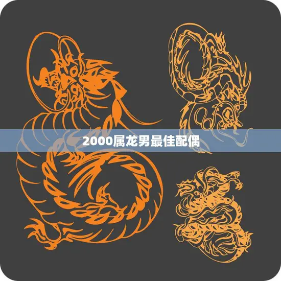 2000属龙男最佳配偶(如何找到你的完美伴侣)