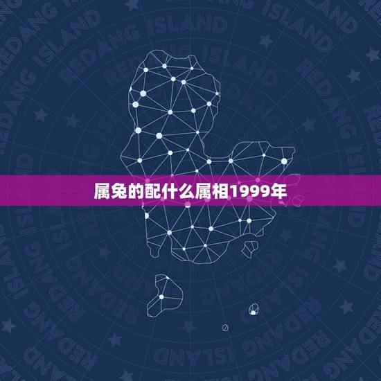 属兔的配什么属相1999年(介绍属兔人的婚姻配对)