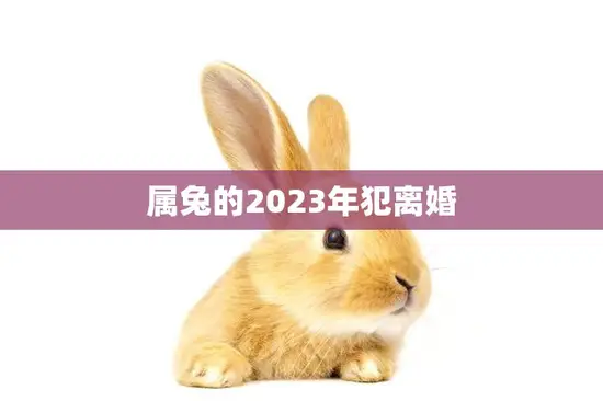 属兔的2023年犯离婚(如何避免婚姻危机)