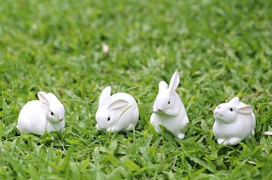 属兔裕字起名的最佳配字(如何选择)