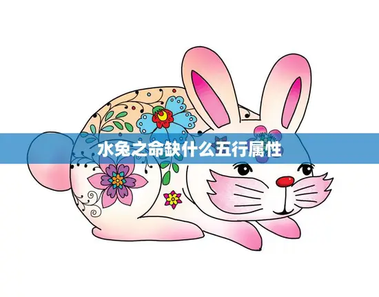 水兔之命缺什么五行属性(揭秘兔子命格五行缺失之谜)