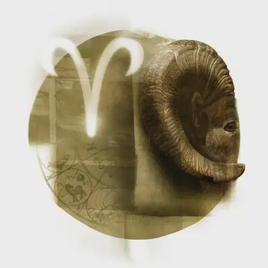 白羊座婚后表现