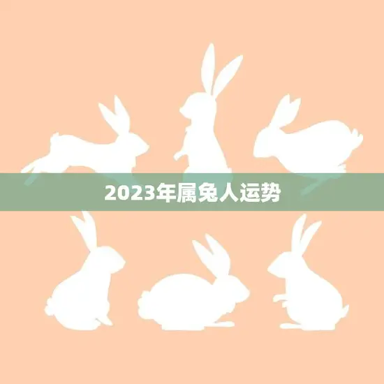 2023年属兔人运势(喜迎贵人财运亨通)