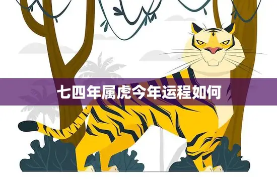 七四年属虎今年运程如何(解析2023年属虎人的运势)