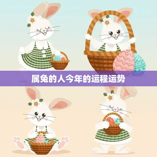 属兔的人今年的运程运势(2023年运势大揭秘)