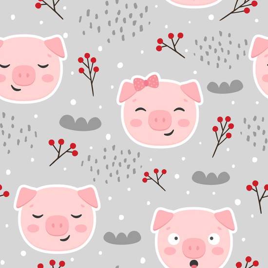 属猪人今天的运势怎么样呢(星象预测)