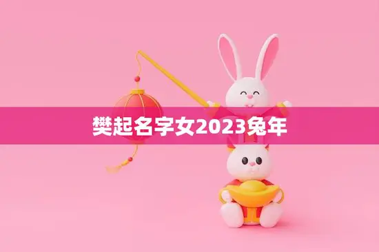 樊起名字女2023兔年(如何选取最佳名字)