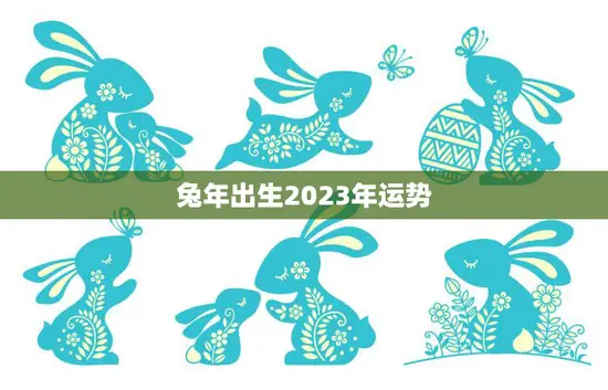 兔年出生2023年运势(好运连连财源滚滚)