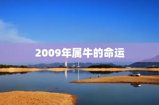 2009年属牛的命运(展望财运旺盛事业顺利但需注意健康问题)