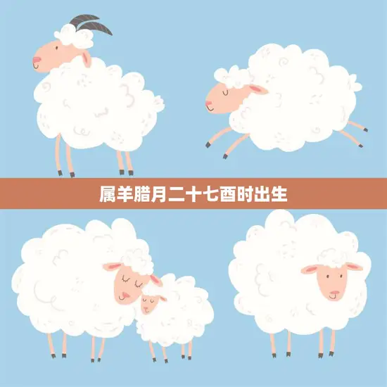 属羊腊月二十七酉时出生(命运如何)