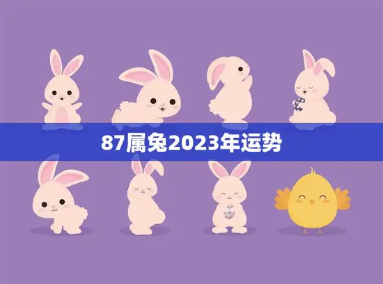 87属兔2023年运势(兔子们迎来事业新机遇)
