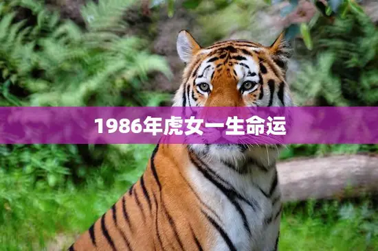 1986年虎女一生命运(命运多舛却始终坚守自我)