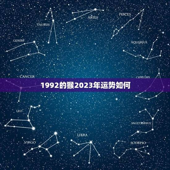 1992的猴2023年运势如何(十二生肖2023年运势分析)