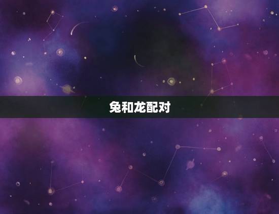 男属相兔和什么配(兔配龙情投意合)