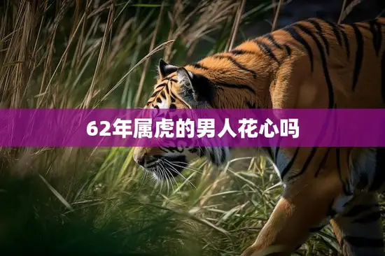62年属虎的男人花心吗(揭秘属虎男的真实面貌)
