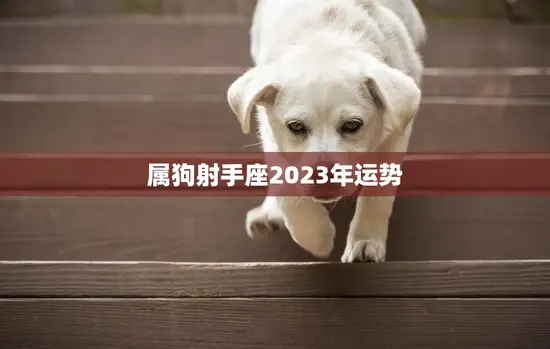 属狗射手座2023年运势(财运亨通事业顺利)