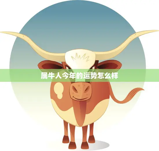 属牛人今年的运势怎么样(2023年牛年运势大揭秘)