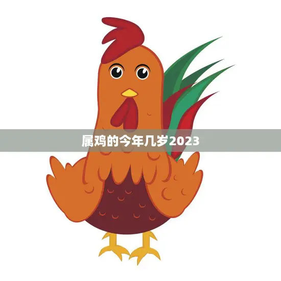 属鸡的今年几岁2023(如何应对属相冲犯迎接新的一年)