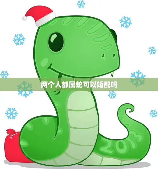 两个人都属蛇可以婚配吗(解析属蛇人的婚姻匹配)
